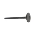 thumbnail image 3 of DNJ EV946 Exhaust Valve Fits Cars & Trucks 00-08 Chevrolet Pontiac Corolla Matrix 1.8L DOHC 16v, 3 of 5