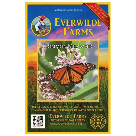 Everwilde Farms - 300 Common Milkweed Native Wildflower Seeds - Gold Vault Jumbo Bulk Seed (Best Wildflower Seeds Uk)