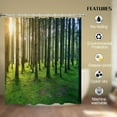 thumbnail image 3 of Sunny Nature Birch Forest Shower Curtain Sunshine Rainforest Landscape Shower Curtains for Bathroom Decor, Waterproof Polyester Fabric Shower Curtain 72x72 Inch with 12 Hooks, 3 of 6