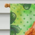 thumbnail image 3 of Carolines Treasures BB9880CHF Cocker Spaniel Saint Patricks Flag Canvas - House Size, 3 of 4