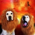 thumbnail image 4 of Pet Lion Headgear Without Ears - Brown, L Size - For Dog, Cat, Party, , Daily Use, Festive Events, Halloween, Xmas, Thanksgiving, Easter, New Year, Birthday, Pet Show,, 4 of 5