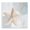 Starfish Over Circle Pattern, variant on Stupell Industries Coastal Starfish over Circle Pattern Black Floating Frame Canvas Art, 18 x 18, by Patricia Pinto