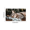 thumbnail image 3 of Mog Floor Mat, Indoor Outdoor Rug With Non-Slip Backing, for Porch Hallway and Pet Feeding Area, Multi-color, 3 of 6