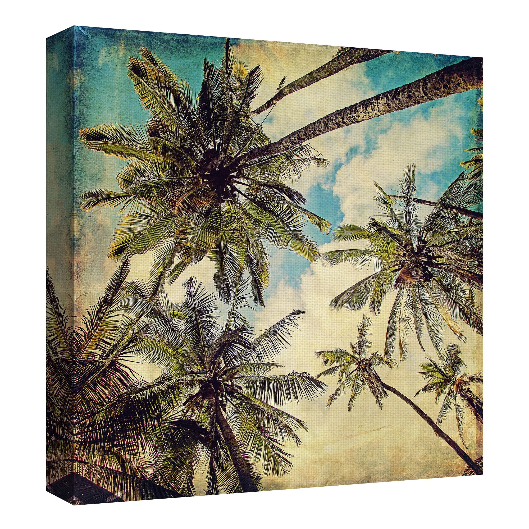 Masterpiece Art Gallery Kauai Island Palm Trees by Michelle Oppenheimer Canvas Photo Art Print 24" x 24"