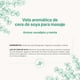 thumbnail image 3 of Vela De Soya Aromática | 600 g | Aroma Eucalipto y Menta | Duración 120 Horas | B Life., 3 of 8