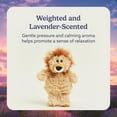 thumbnail image 3 of INUC5 Warmies microwavable French Lavender Scented jr. Lion, 3 of 7