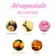 thumbnail image 3 of Vela aromática Aeropostale Blushing Soy con maracuyá 60h, 3 of 6