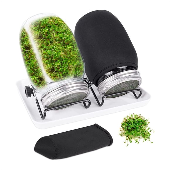 Seed Sprouting Jar Kit with 2 Wide Mouth Jars Bean Sprouts Growing Kit Growing Jar with Mesh Screen Lids,1 set x sprout maker