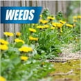 thumbnail image 2 of Pulverize  Weed & Grass Killer, 1 Gallon Battery Sprayer, Herbicide, 2 of 7