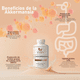 thumbnail image 2 of Akkermansia Booster GLP-1 | Probióticos de nueva Generación | Salud Intestinal, 2 of 6