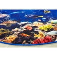 thumbnail image 2 of Carpets for Kids 61006 6 ft. Explore the Ocean Carpet - Round, 2 of 4