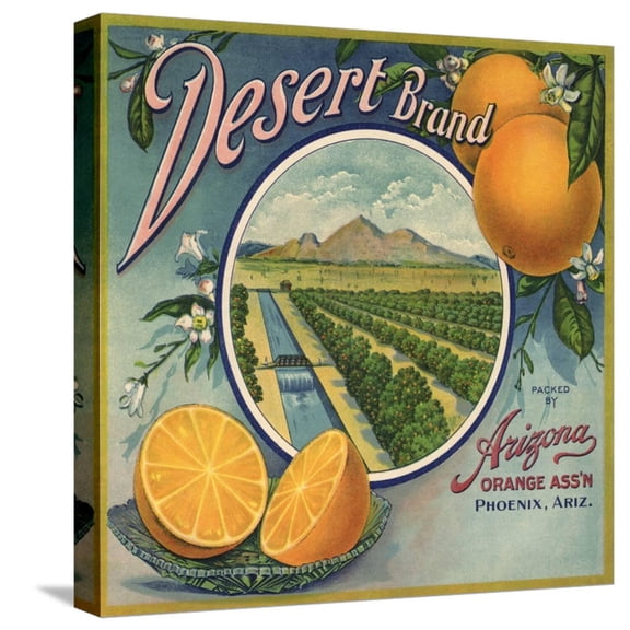 Art.com Desert Brand - Phoenix, Arizona - Citrus Crate Label Stretched Canvas Print Wall Art by Lantern Press, 16" x 16"