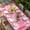 Pink, variant on Pink Abstract Table Cloths for 5 Foot Rectangle Tables, Vintage Geometric Gradient Oil Painting Modern Patio Waterproof Elastic Fitted Tablecloths, Washable Rectangular Table Cover for Camping