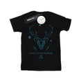 thumbnail image 2 of Harry Potter Boys Expecto Patronum T-Shirt, 2 of 3