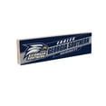 thumbnail image 2 of Georgia Southern Eagles 5" x 18" Shadow Logo Wood Mantle Sign, 2 of 4