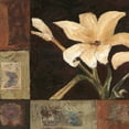 thumbnail image 2 of Bagnato, Judi 26x26 Black Ornate Wood Framed with Double Matting Museum Art Print Titled - Magnolia Breeze I, 2 of 4