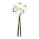 thumbnail image 1 of Cymbidium artificial hidratante, decoración realista, arreglo floral, flor falsa Blanco, 1 of 9