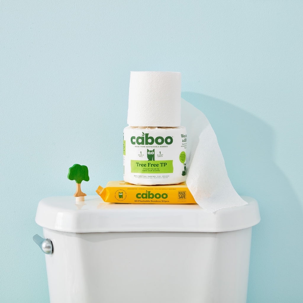 Pack of 12, Caboo Bamboo Flushable Wipes, 60 ct