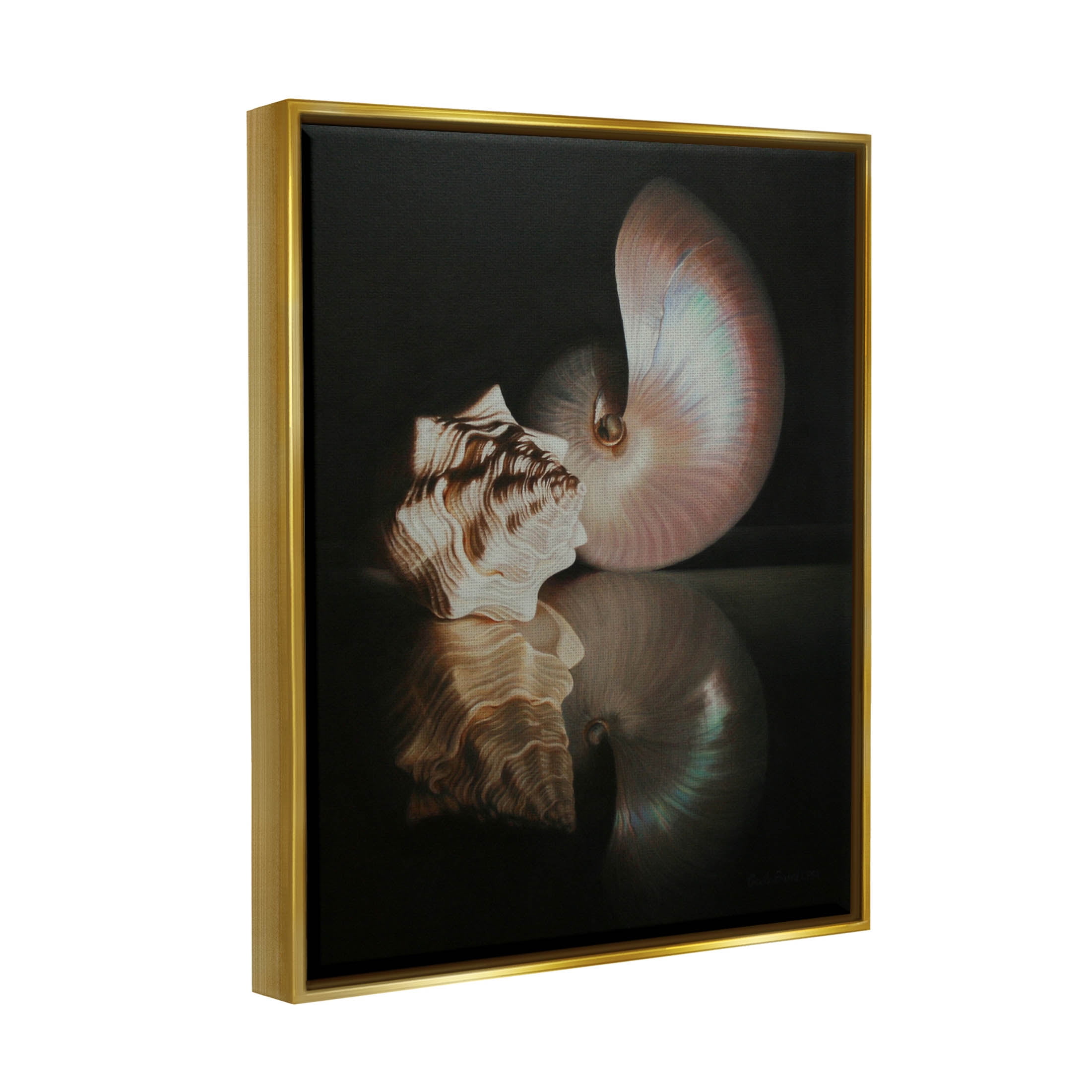 Stupell Industries Dark Sea Shells Still Life Photograph Metallic Gold Floating Framed Canvas Print Wall Art, Design by Cecile Baird