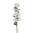 thumbnail image 1 of Danson Decor 25" Cotton Head Stem, 1 of 1
