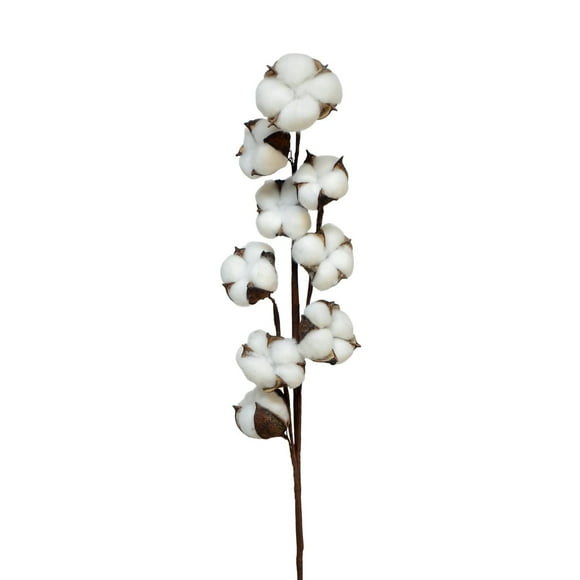 Tige en coton de 25 po Blanc