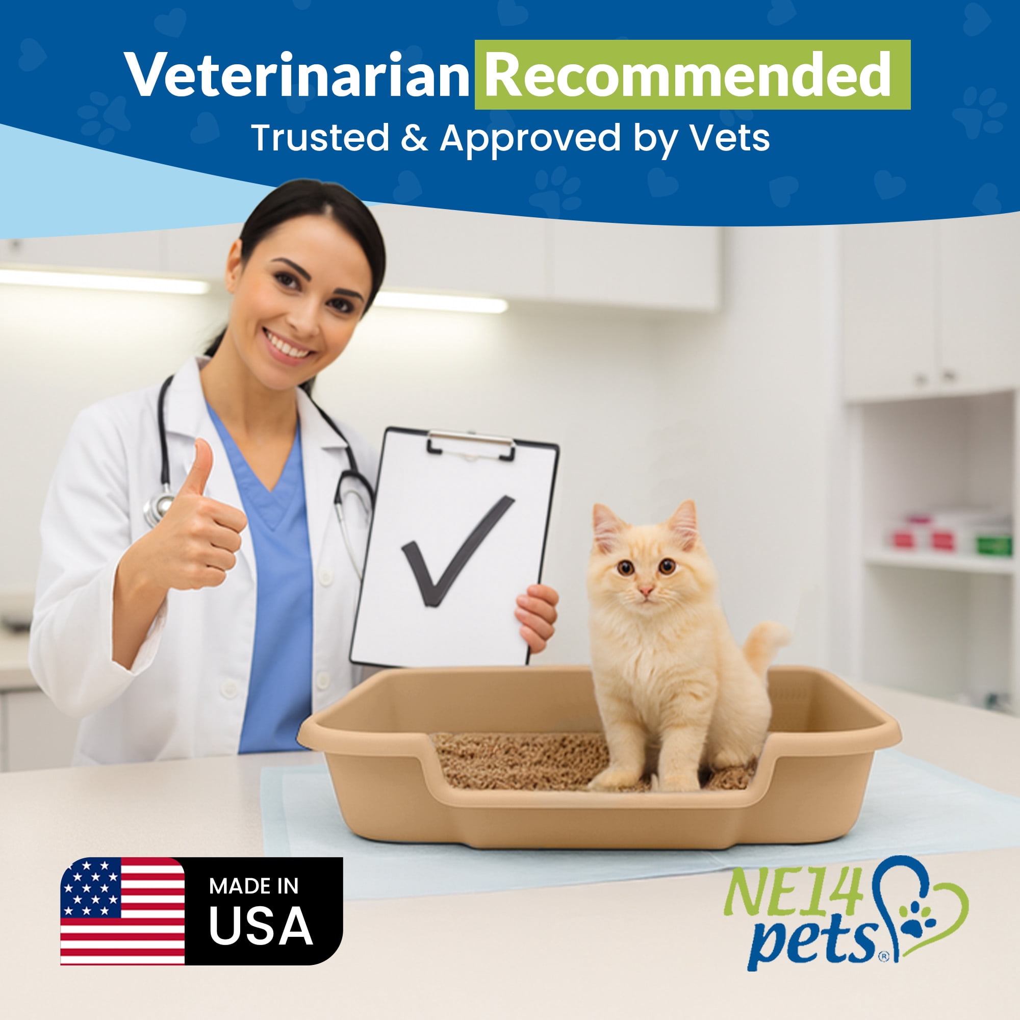Kitty Go Here Senior Cat Litter Box