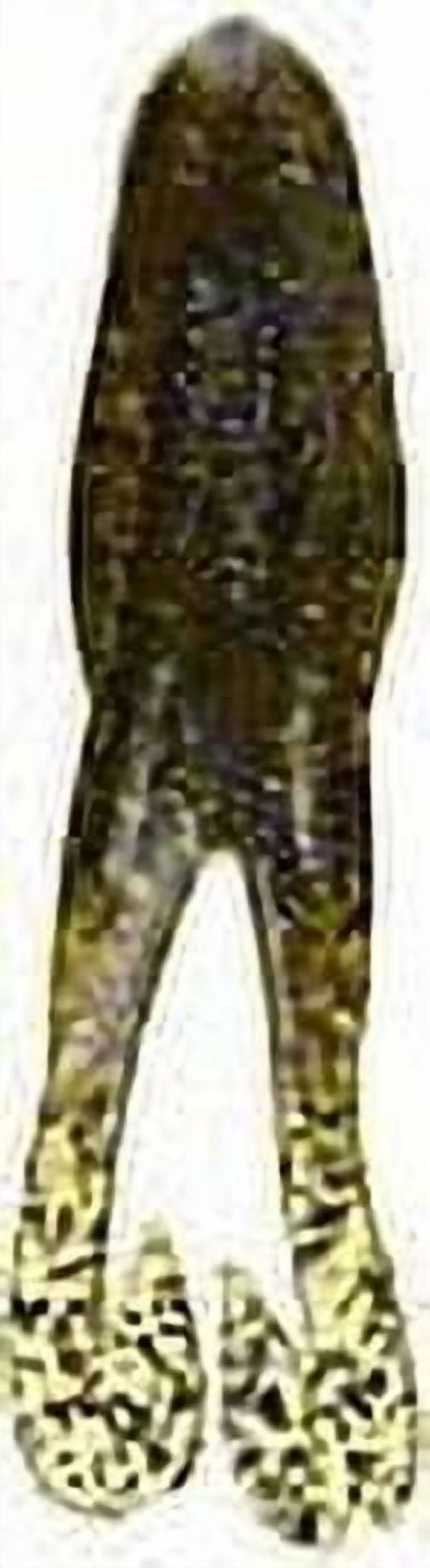 (2 pack) Zoom Horny Toad 4.25'' White 5pk