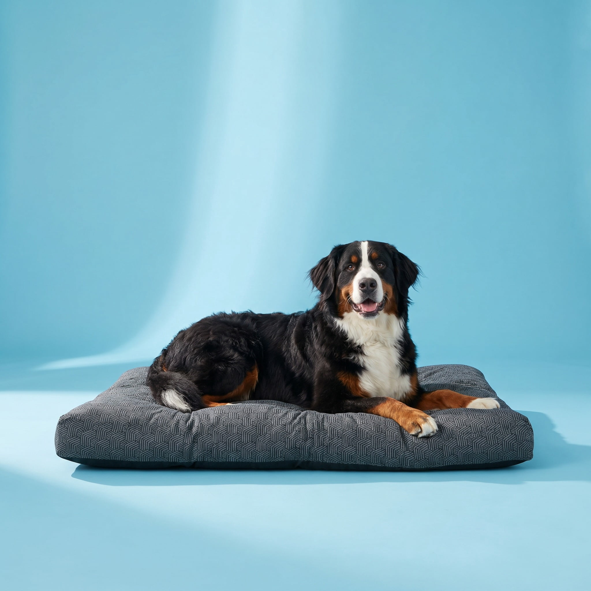 Vibrant Life Extra Large Ultra Soft Tufted Pet Bed, Gray, 38" x 48"