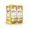 thumbnail image 6 of Jose Cuervo Sparkling Margarita Paloma, 8% ABV, 4 Pack, 355 ml Cans, 6 of 6