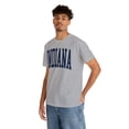 thumbnail image 6 of 22Gifts Indiana Trip Moving Away Vacation Travel Shirt, Gifts, Tshirt, 6 of 12
