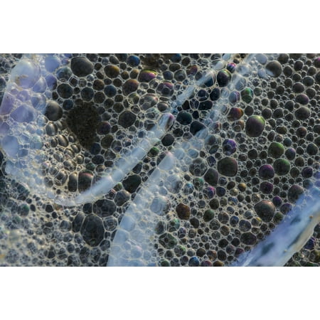 Surf bubbles wash over a Razor Clam shell on the beach Cannon Beach Oregon United States of America Poster Print by Robert L Potts  Design (Best Surfing In America)