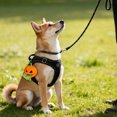 thumbnail image 5 of Pumpkin Themed Poop Bag Dispenser Holder Leash Attachment for Dogs Convenient Outdoor Walking Waste Management Solution, 5 of 5
