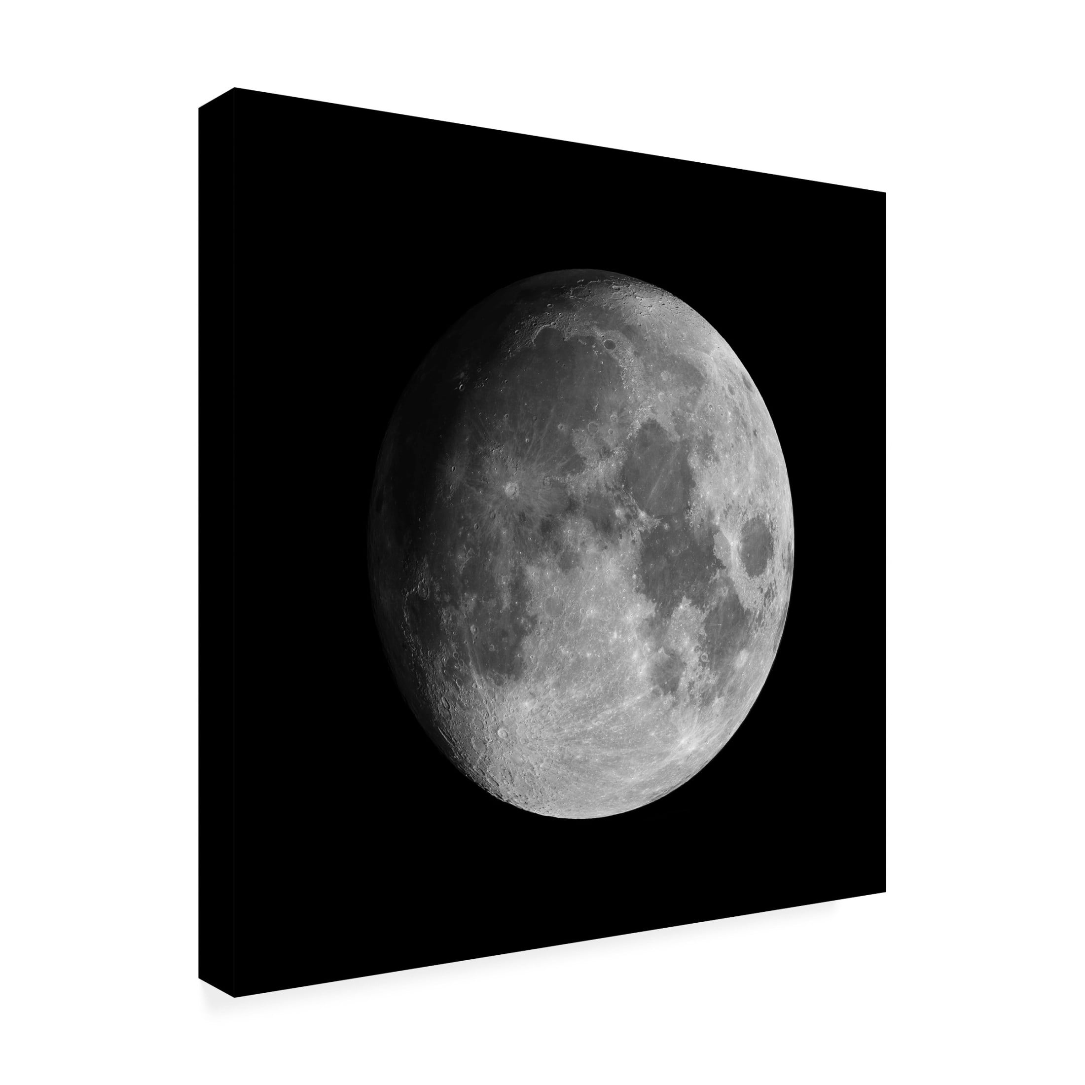 Trademark Fine Art David Dayag Moon Canvas Wall Art