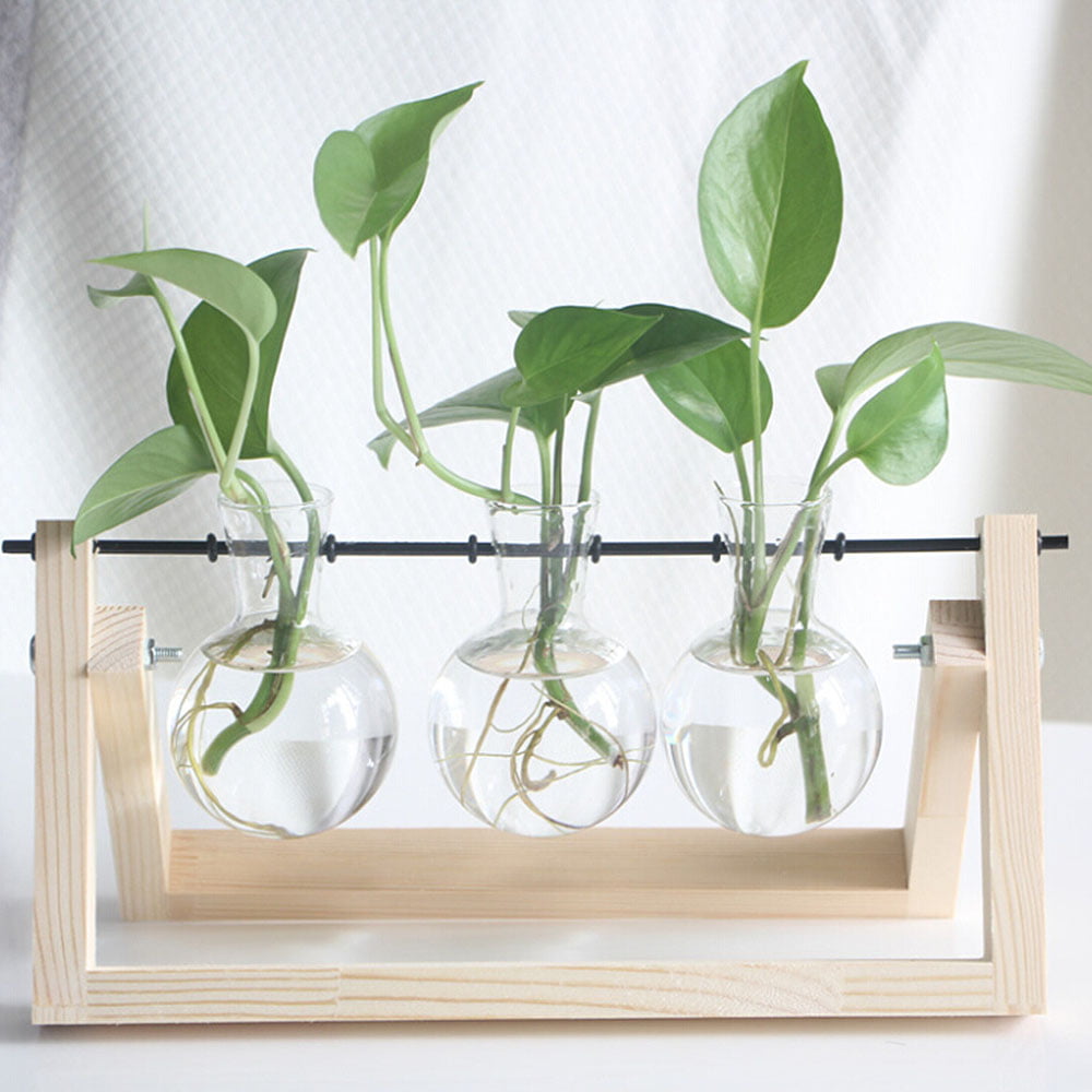 2x Clear Hanging Glass Double Ball Shaped Vase Flower Planter Desktop Decor 