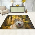 thumbnail image 3 of Dreamtimes Lightweight Soft Area Rugs 63 x 48 in, Siberian Husky Posing in The Bright Fall Floor Mat for Kids Playing Room Hardwood Floor Living Room Nursery Rugs, 5'3" x 4', 3 of 6
