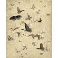 thumbnail image 2 of Kimberly, Allen 20x24 Black Ornate Wood Framed with Double Matting Museum Art Print Titled - Butterflies in Flight 1, 2 of 4
