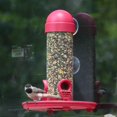 PerkyPet Window Bird Feeder
