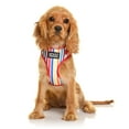 thumbnail image 2 of DOOG - All Weather 'Neoflex Dog Harness, Flexible Neoprene Breathable Mesh Padding Light Wetsuit Material Water Friendly Draws Moisture Away Fir Skin Easy Fit Small, Medium, Large, XL Soft, 2 of 5