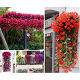 thumbnail image 4 of Fmxomd Artificial Faux Hanging Flowers Plants Outside Fake Violets Colorful Realistic Vines Porch Patio Yard Indoor House Wedding Party Favors(1Pack, 27.7in), 4 of 6