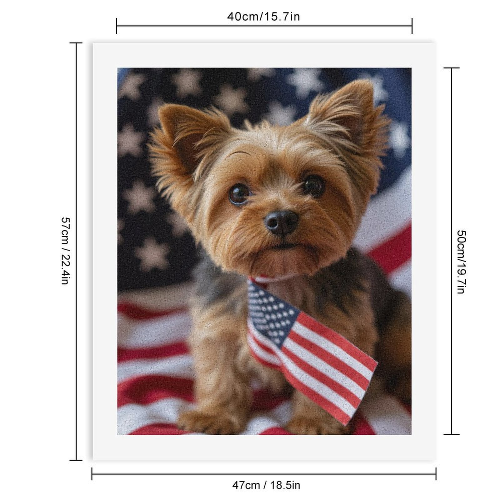 Paint by Numbers Kit for Adults, Yorkshire Terrier Patriotic Paws Paint by Numbers, Easy Paint by Numbers Kit for Adults Beginner, DIY Adult Paint by Number Kits on Canvas, Home Decor 12x16in