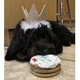 thumbnail image 2 of DEZICAKES Dog Birthday Cake- Bad to the Bone Dog Cake-  Edible Puppy Party Crunchy Cookie Cake- Handmade with Love- Perfect Dog Party Cake Boxed, Iced and Decorated, 2 of 8
