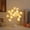White, variant on 16 Rose LED Flower Tree Lamp USB Artificial Bonsai Night Light Romantic Decor for Bedroom Wedding Valentine White & Pink