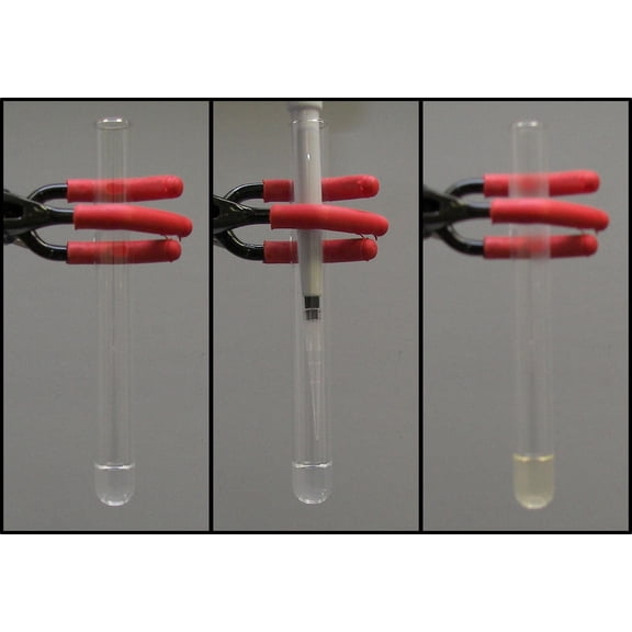 Green Nanochemistry: Synthesis of Silver Nanoparticles Kit