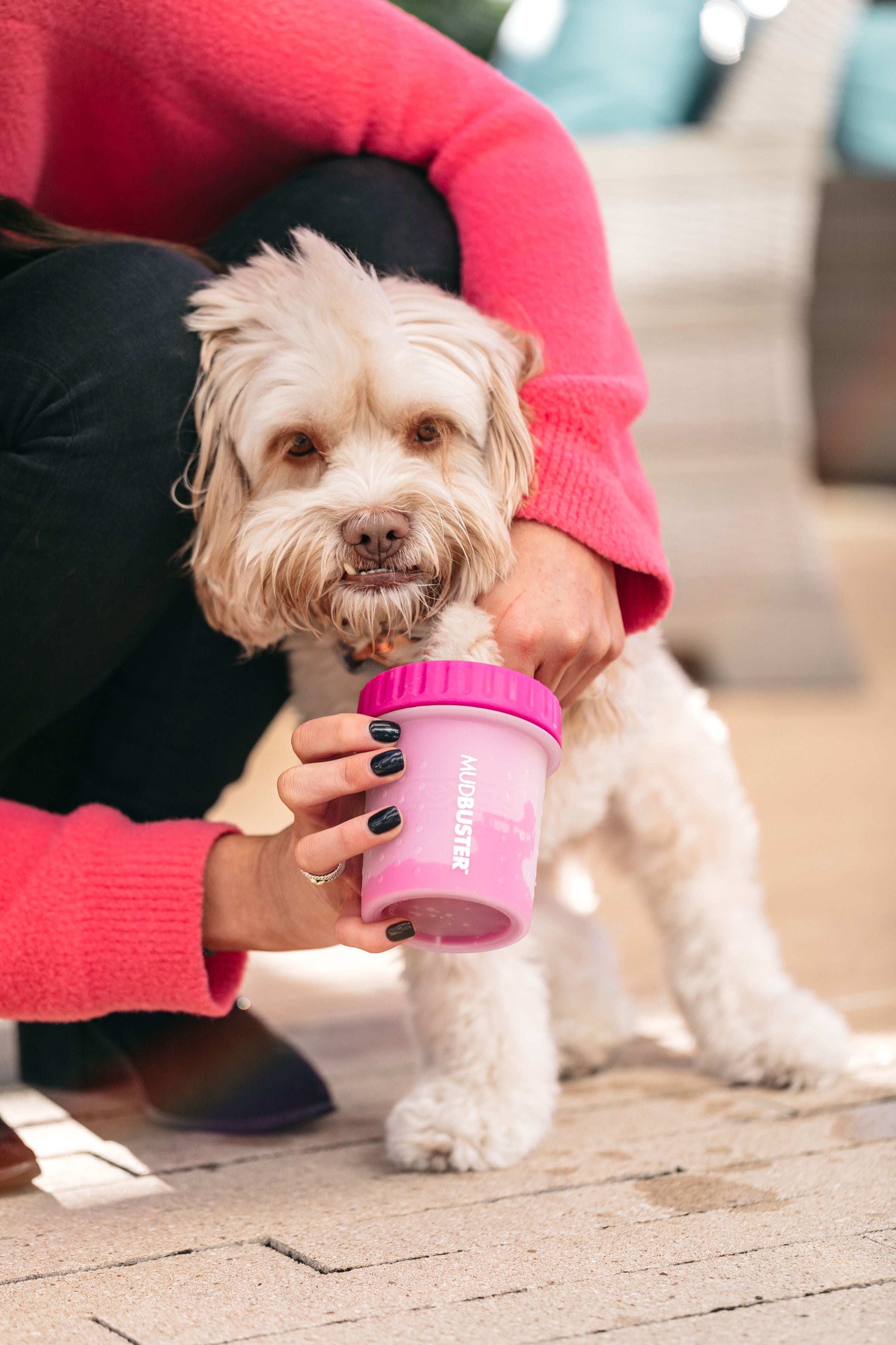 Dexas MudBuster Portable Dog Paw Washer and Cleaner, Petite, Fuchsia
