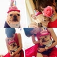 thumbnail image 4 of Pañuelo de cumpleaños para perro NQ conjunto de pajarita con pancarta juego de 7 piezas rosa, 4 of 5