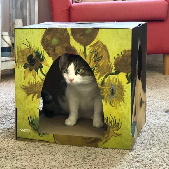 Cardboard Cat House