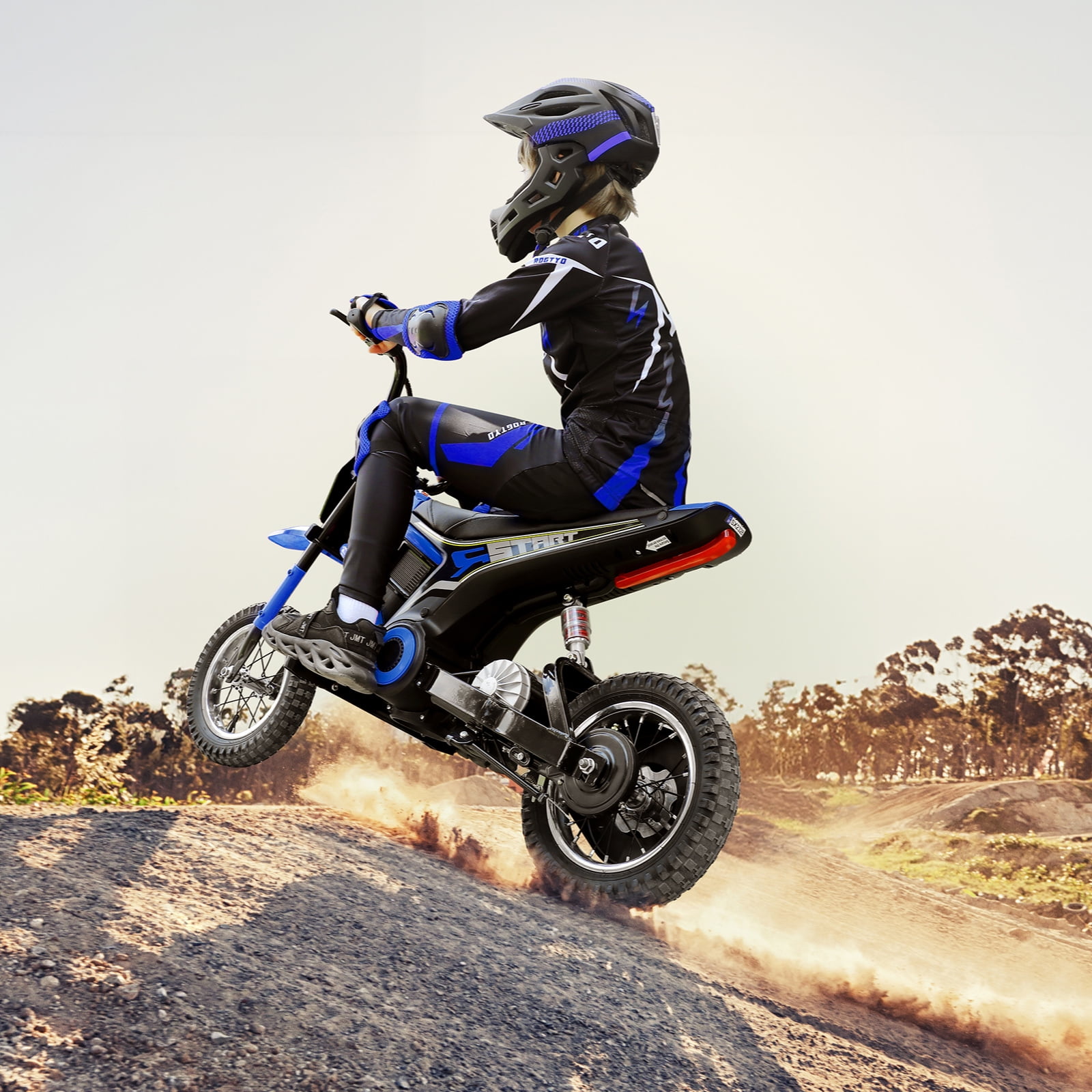 24V Dirt Bike,Neche 250W Electric Powered Motorcycle,Ride on Dirt Rocket with Shock Absorption Suspension for Kids Age 13+,Blue