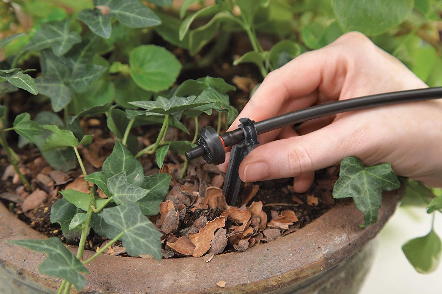 Rain Drip Auto Container& Hanging Basket Kit With Timer