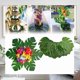 thumbnail image 4 of Artificial Green Plants Monstera Leaf Decor for Home Office Garden Green Home Decoration 15Pcs, 4 of 4