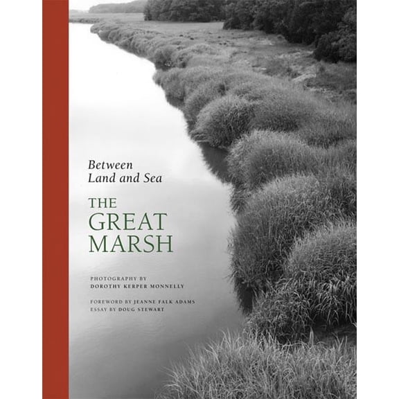 Between Land and Sea: The Great Marsh (Hardcover)